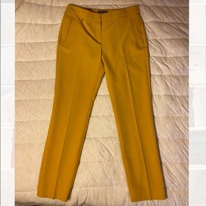 Women’s dress pants. Size 6.